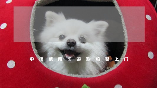 中信信用卡逾期报警上门