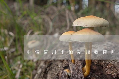 中信信用卡逾期拒收律师函 中信信用卡逾期拒收律师函