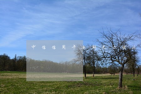 中信信用卡逾期无力偿还 中信信用卡逾期无力偿还