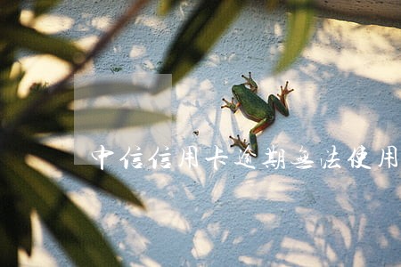 中信信用卡逾期无法使用怎么办 中信信用卡逾期无法使用怎么办