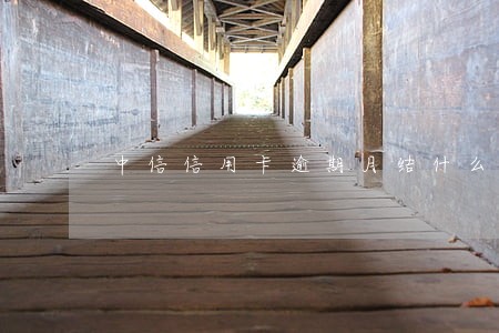 中信信用卡逾期月结什么意思
