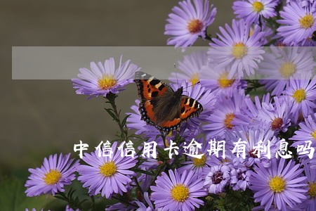 中信信用卡逾期有利息吗