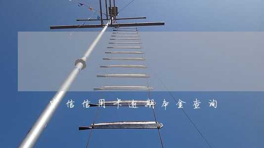 中信信用卡逾期本金查询 中信信用卡逾期本金查询