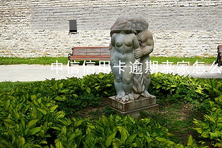 中信信用卡逾期来家怎么处理 中信信用卡逾期来家怎么处理