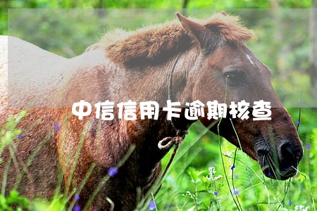 中信信用卡逾期核查 中信信用卡逾期核查