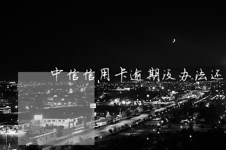 中信信用卡逾期没办法还款