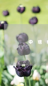 中信信用卡逾期清收人员上门 中信信用卡逾期清收人员上门