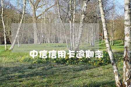 中信信用卡逾期率