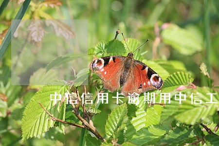 中信信用卡逾期用中信工资卡 中信信用卡逾期用中信工资卡