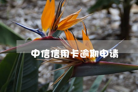 中信信用卡逾期申请 中信信用卡逾期申请