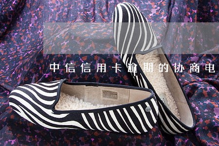 中信信用卡逾期的协商电话 中信信用卡逾期的协商电话