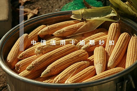 中信信用卡逾期秒扣 中信信用卡逾期秒扣
