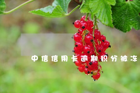 中信信用卡逾期积分被冻结