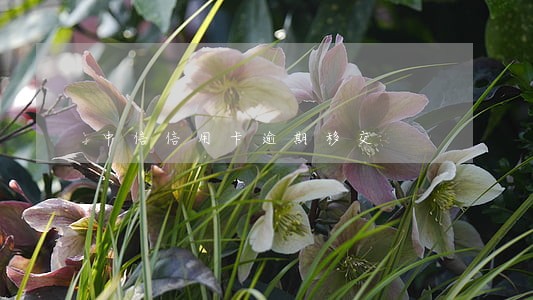 中信信用卡逾期移交 中信信用卡逾期移交