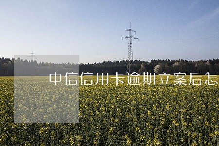 中信信用卡逾期立案后怎么处理 中信信用卡逾期立案后怎么处理