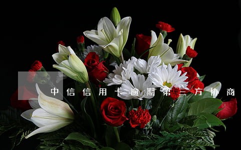 中信信用卡逾期第三方协商 中信信用卡逾期第三方协商
