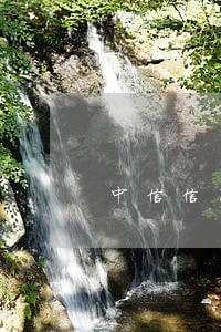中信信用卡逾期答应还本金 中信信用卡逾期答应还本金