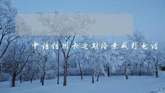 中信信用卡逾期给亲戚打电话 中信信用卡逾期给亲戚打电话