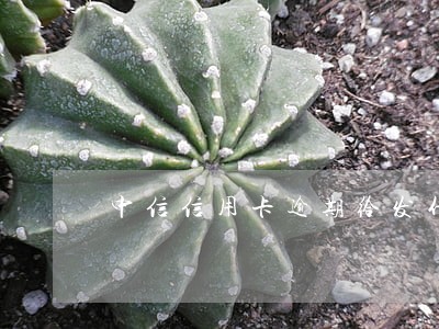 中信信用卡逾期给发什么邮件 中信信用卡逾期给发什么邮件