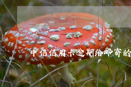 中信信用卡逾期给邮寄的欠款信 中信信用卡逾期给邮寄的欠款信