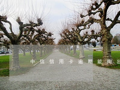 中信信用卡逾期能掏出来么