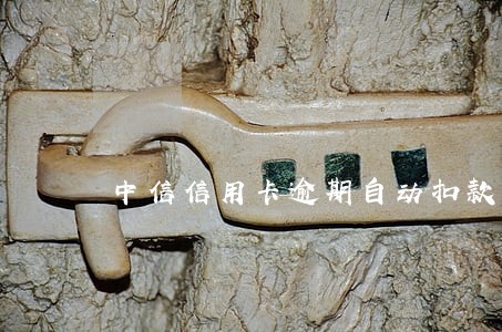 中信信用卡逾期自动扣款最新政策