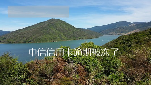 中信信用卡逾期被冻了 中信信用卡逾期被冻了