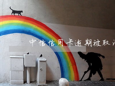 中信信用卡逾期被取消分期资格 中信信用卡逾期被取消分期资格