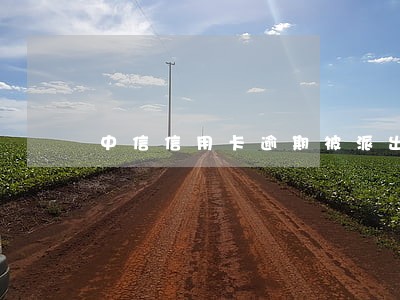 中信信用卡逾期被派出所带走 中信信用卡逾期被派出所带走