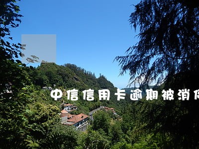 中信信用卡逾期被消停使用 中信信用卡逾期被消停使用