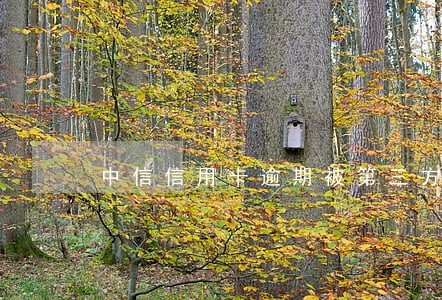 中信信用卡逾期被第三方催收 中信信用卡逾期被第三方催收