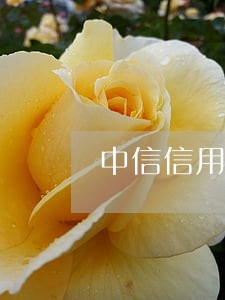 中信信用卡逾期被锁怎么办 中信信用卡逾期被锁怎么办