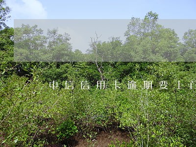 中信信用卡逾期要上门不提供证件 中信信用卡逾期要上门不提供证件