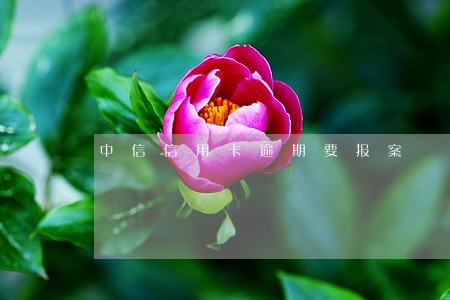 中信信用卡逾期要报案 中信信用卡逾期要报案