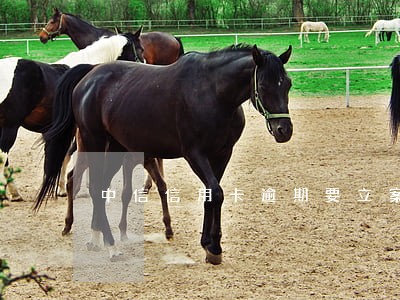 中信信用卡逾期要立案