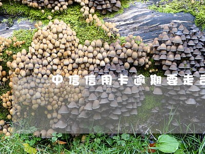 中信信用卡逾期要走司法程序 中信信用卡逾期要走司法程序