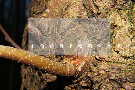 中信信用卡逾期让去卡中心协商