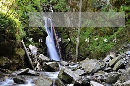 中信信用卡逾期诉电话