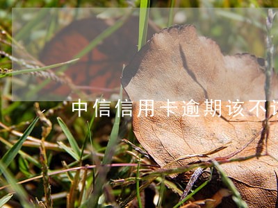 中信信用卡逾期该不该听第三方的 中信信用卡逾期该不该听第三方的