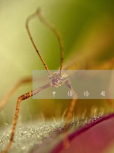 中信信用卡逾期说卡怎么解