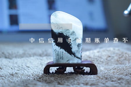 中信信用卡逾期账单查不到 中信信用卡逾期账单查不到