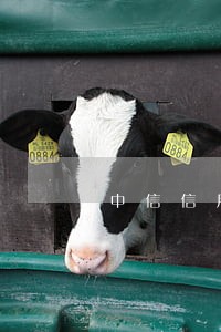 中信信用卡逾期贷款怎么办 中信信用卡逾期贷款怎么办