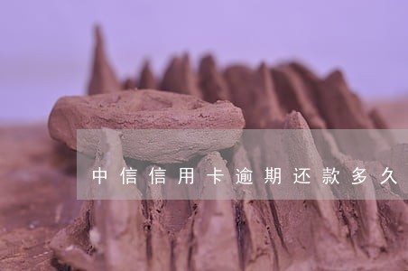 中信信用卡逾期还款多久能再用 中信信用卡逾期还款多久能再用