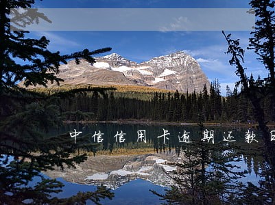 中信信用卡逾期还款日几天
