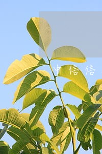 中信信用卡逾期还款日怎么算 中信信用卡逾期还款日怎么算