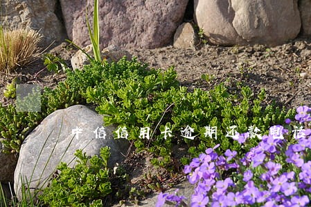 中信信用卡逾期还款电话 中信信用卡逾期还款电话