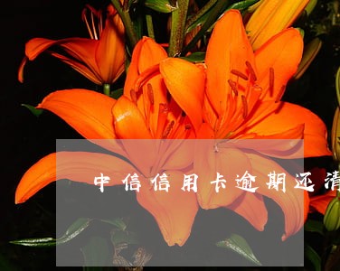中信信用卡逾期还清还能用吗