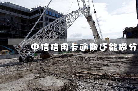 中信信用卡逾期还能做分期吗 中信信用卡逾期还能做分期吗