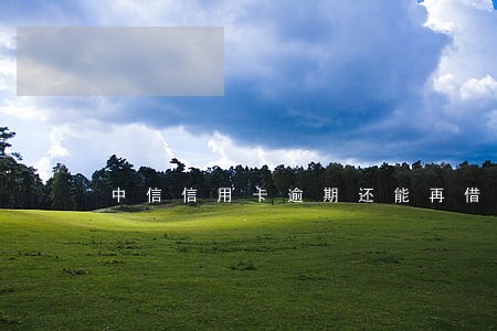 中信信用卡逾期还能再借吗