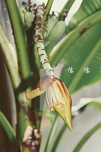 中信信用卡逾期还能协商吗 中信信用卡逾期还能协商吗